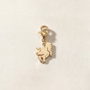 Domuz Charm