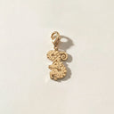 Ejderha Charm