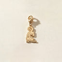 Kaplan Charm