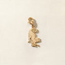 Maymun Charm