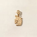 Tavşan Charm