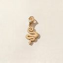 Yılan Charm