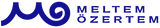 Meltem Özertem